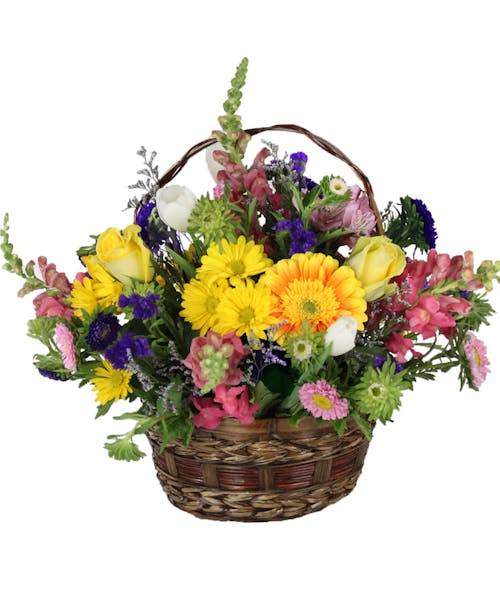 Springtime Stroll - Same Day Louisville KY Flower Delivery | Nanz ...