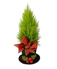 Christmas Magic Top Hat Tree