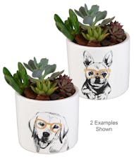 Desktop Dog Planter with Succulents
