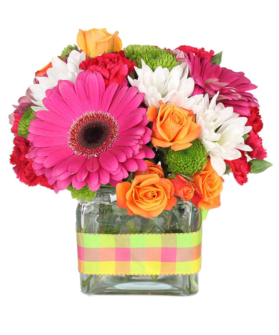 Oopsy Daisy Flower Delivery Nanz & Kraft Florists Louisville Kentucky