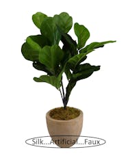 Fiddle Leaf Fig   (Silk/Artificial)