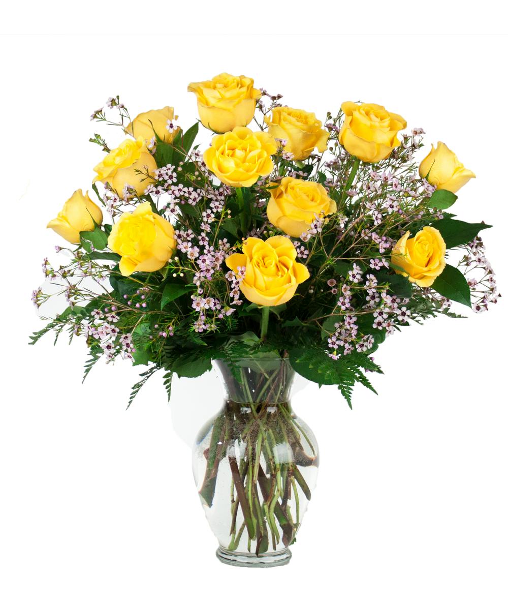 Long Stem Roses Louisville Flower Delivery Nanz & Kraft