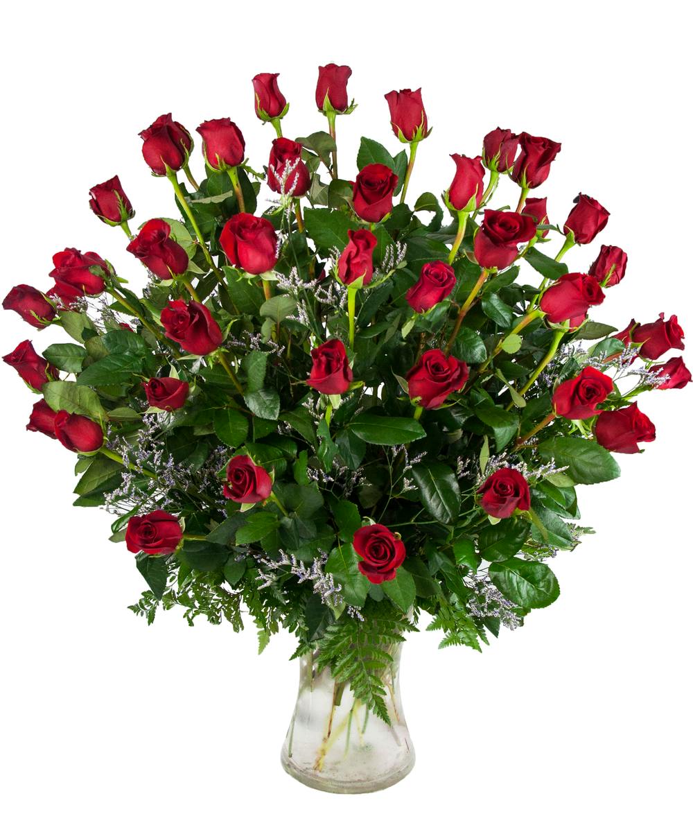 48 Red Roses Four Dozen Red Roses Delivered Louisville KY
