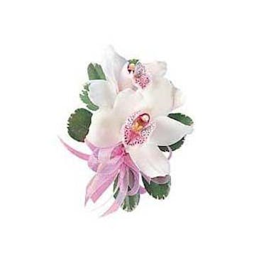 Corsage Nanz Kraft Florists Louisville Kentucky