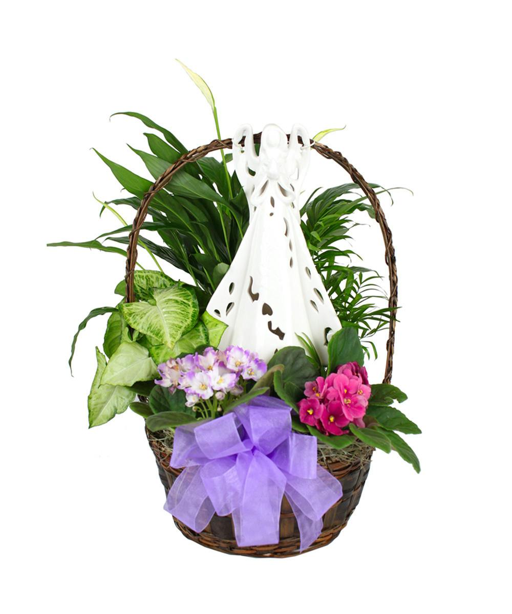 Nanz & Kraft Florists Louisville KY