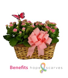 Breast Cancer Awareness Month Calandiva/Kalanchoe Basket