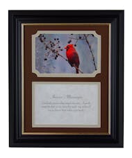 Heaven's Messenger/Cardinals Appear Framed Plaque