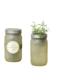 Modern Sprout Garden Jar Herbs Kit- Rosemary