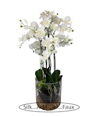 Purity Silk Orchid Design (Silk/Artificial)