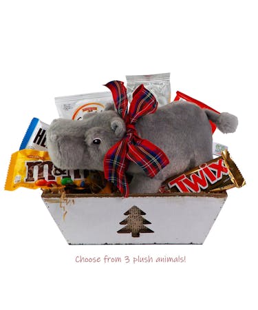 Snacks & Snuggles Gift Box
