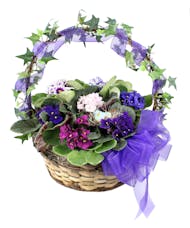 Violet Basket