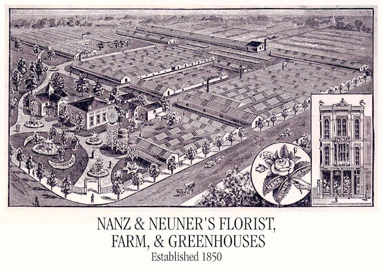 An illustration depicting the Nanz and Neuner farm and greenhouses